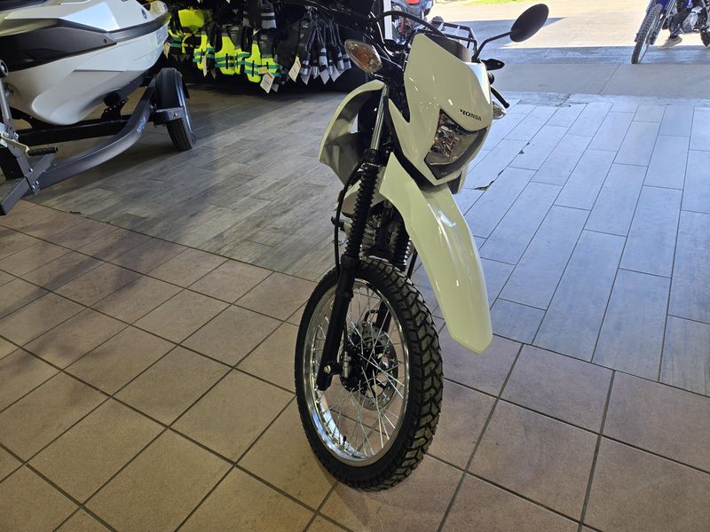 NEW 2026 HONDA XR 150L Image 6