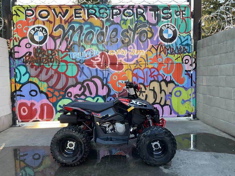 2025 Can-Am RENEGADE 110 Image 8