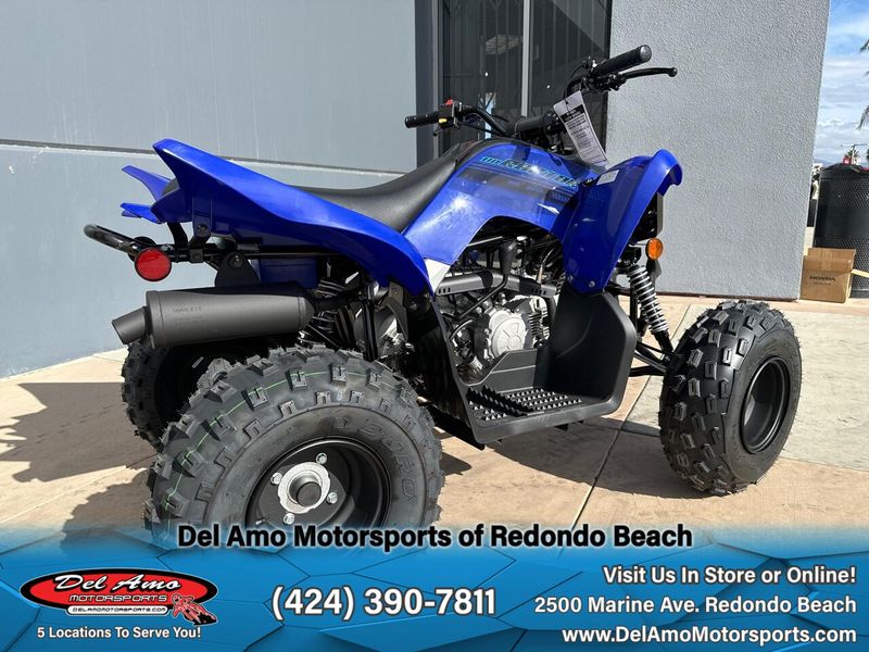 2025 Yamaha RAPTOR 110Image 2