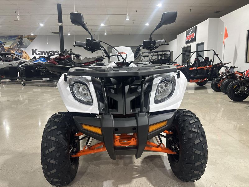 New 2026 Kayo BULL 300 EFI Image 21