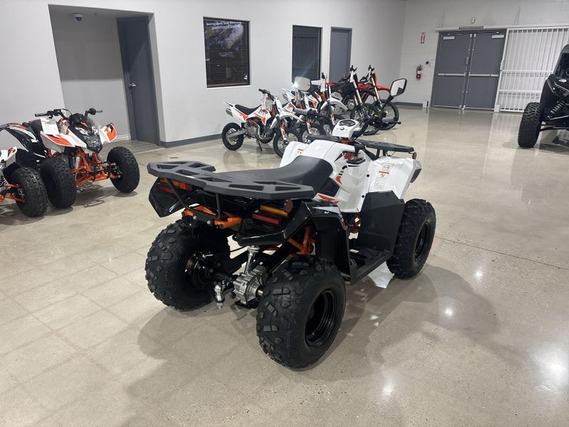 New 2026 Kayo BULL 300 EFI Image 15