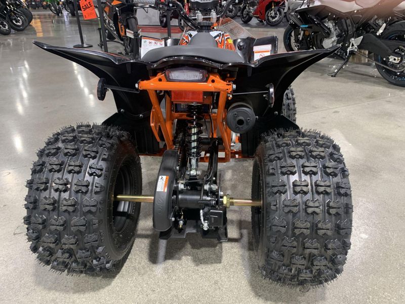 2025 Kayo PREDATOR 125 EFI Image 14