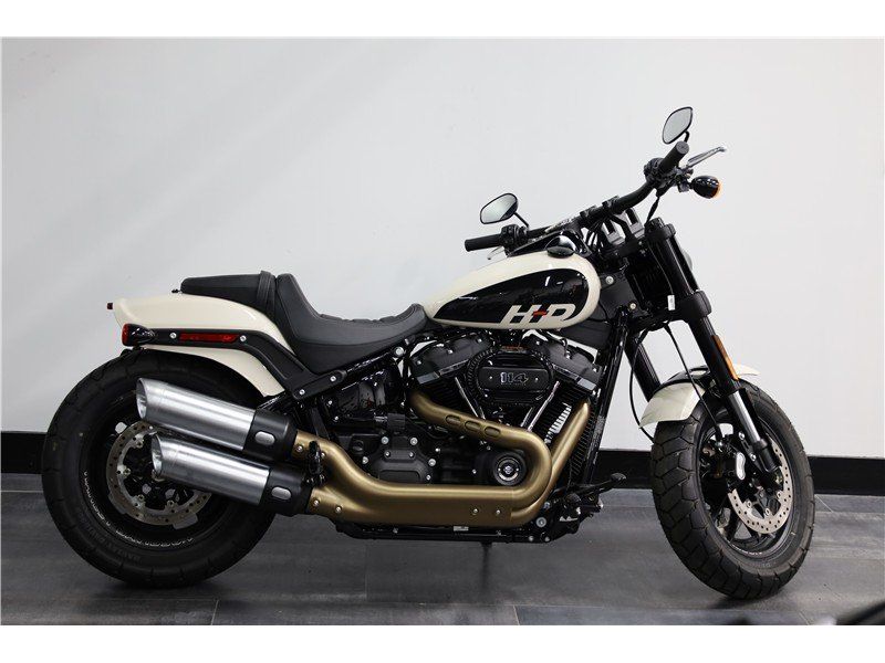 2023 Harley-Davidson SoftailImage 1