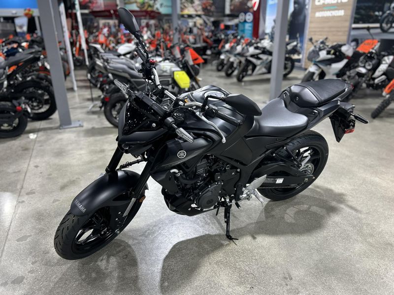 2025 Yamaha MT-03 Image 16