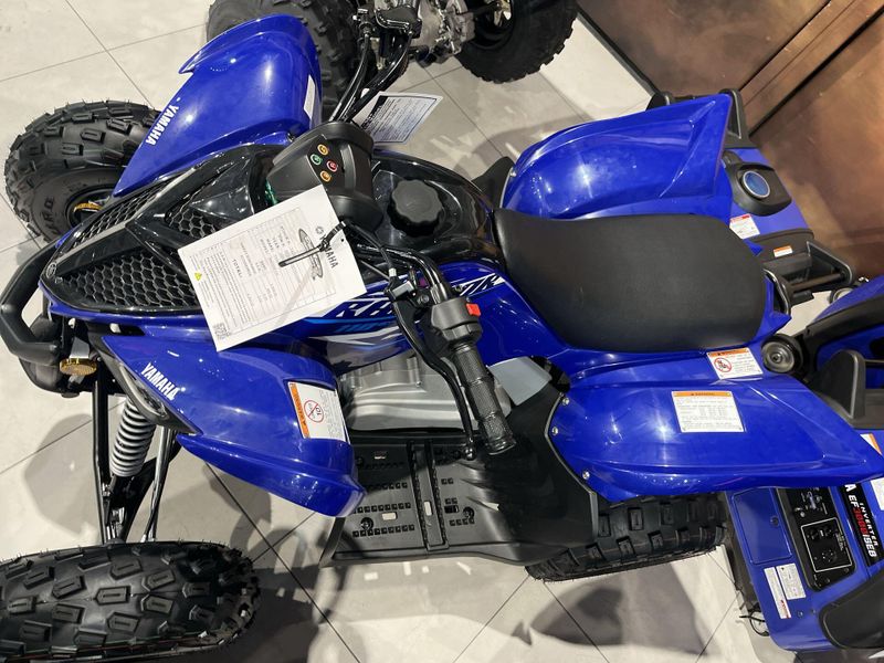 New 2026 Yamaha RAPTOR 110 Image 13