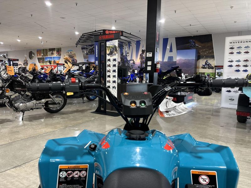 New 2026 Can-Am RENEGADE 110 EFI Image 19