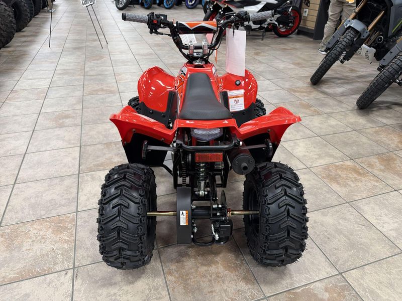 New 2025 Kayo STORM 70 Image 16