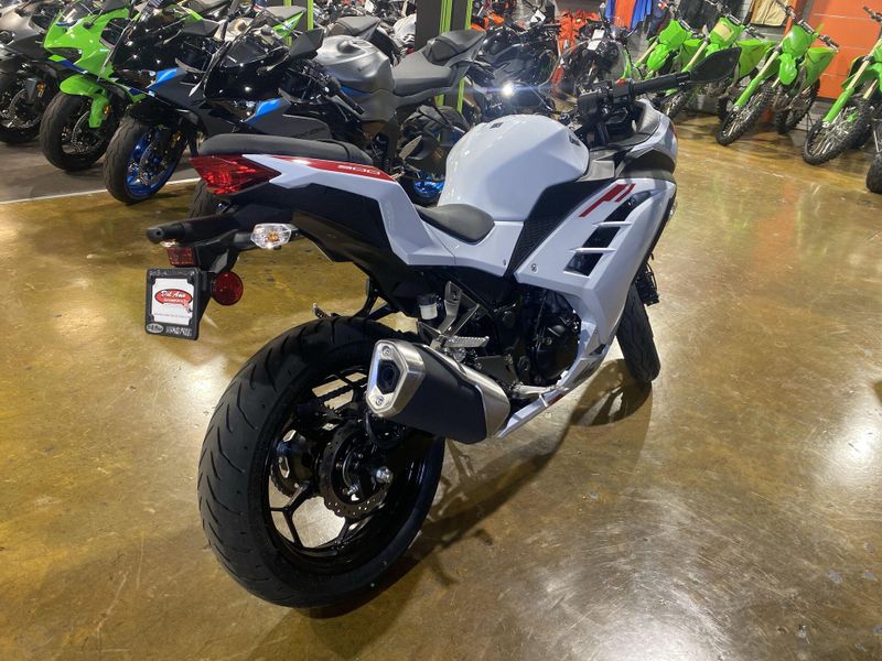 New 2026 Kawasaki NINJA 300 ABS Image 8