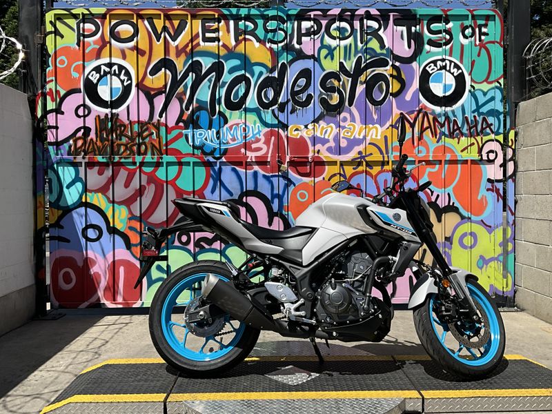 New 2025 Yamaha MT-03 Image 5