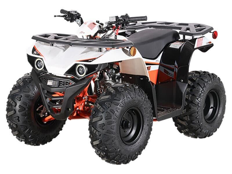New 2026 KAYO PREDATOR 110 Image 1