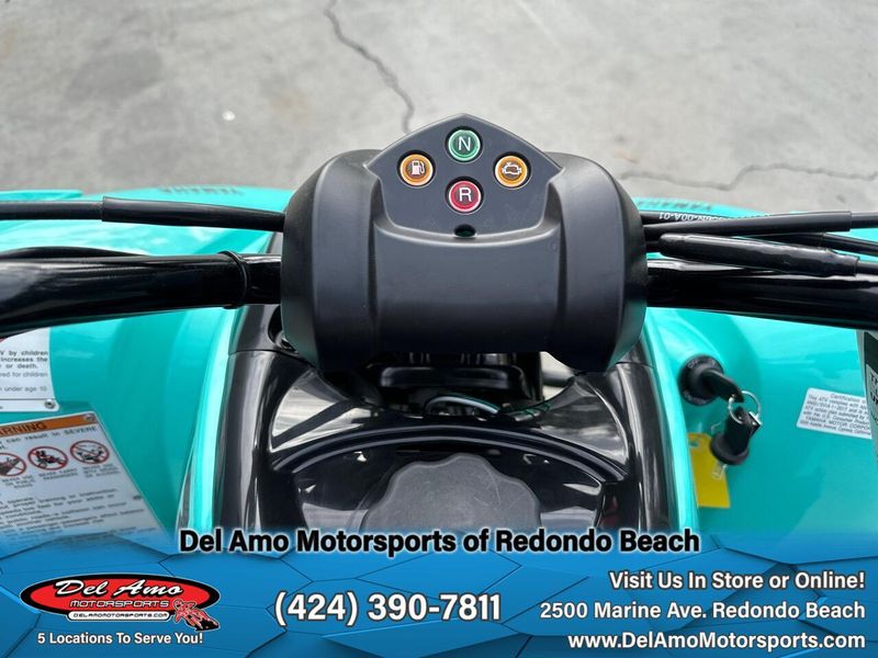 2025 Yamaha RAPTOR 110 Image 13
