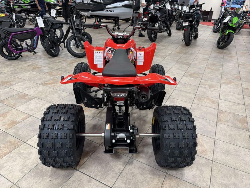 New 2026 Kayo STORM 300 Image 16