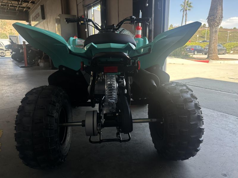 2025 Yamaha RAPTOR 110 Image 10