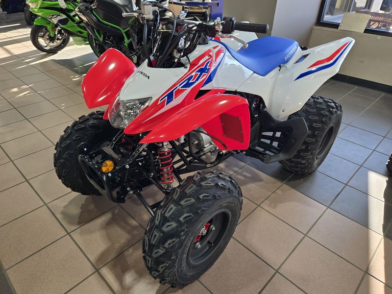 NEW 2026 HONDA TRX250X Image 3