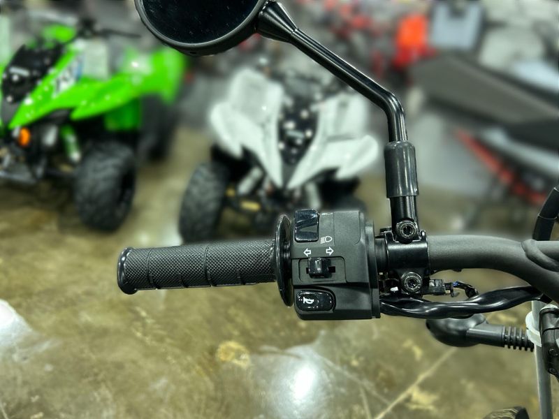 New 2026 Kawasaki KLX300 Image 24