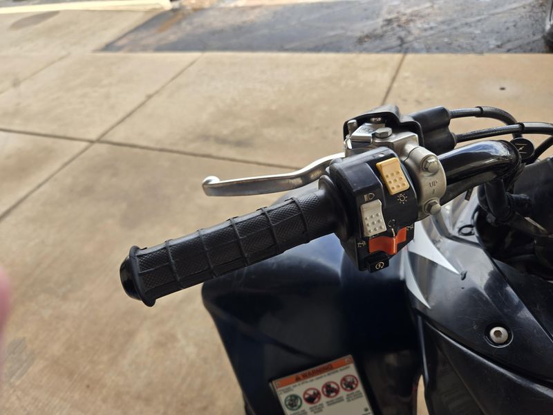 2006 Honda TRX250EX Image 13