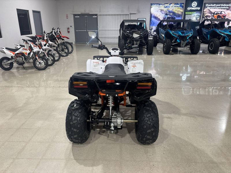 New 2026 Kayo BULL 300 EFI Image 14