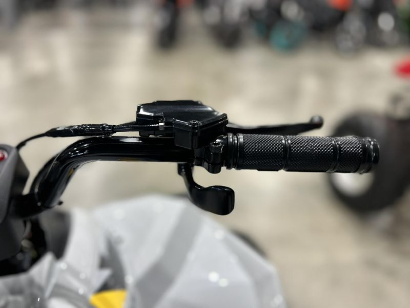 New 2025 Can-Am RENEGADE 110 EFI Image 12
