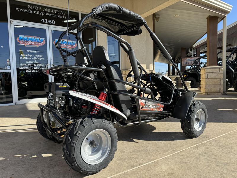 2022 TRAILMASTER BLAZER 200EX WHITE  in a WHITE exterior color. Family PowerSports (877) 886-1997 familypowersports.com 