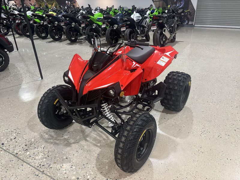 New 2027 Kayo STORM 300 Image 12