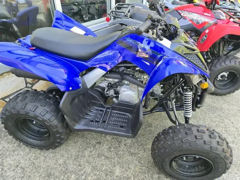 2025 Yamaha RAPTOR 110 TEAM BLUE Image 3