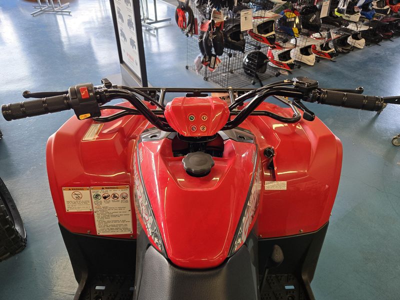 2025 Yamaha GRIZZLY 110 GREY METALLIC AND RED Image 18