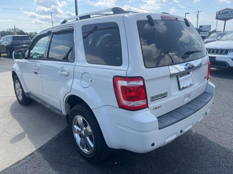 2011 Ford Escape LimitedImage 4