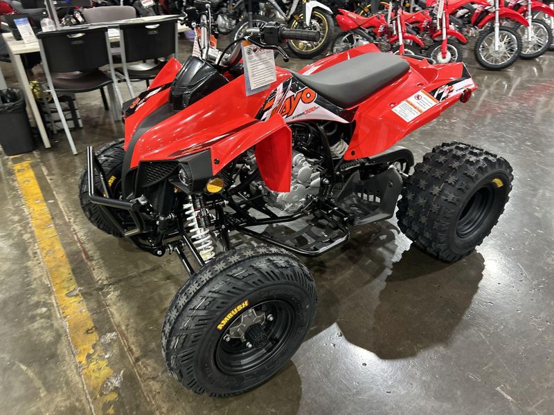 New 2026 Kayo STORM 300 Image 17