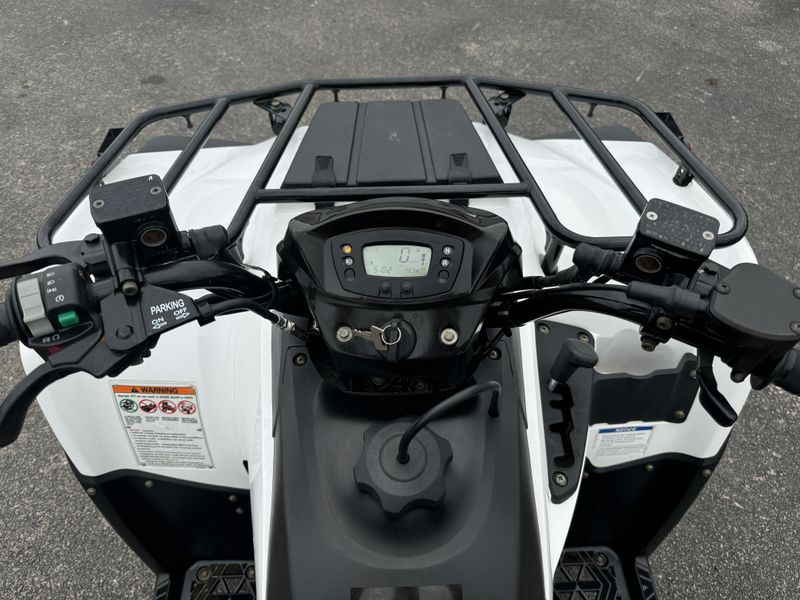 2021 Kawasaki BRUTE FORCE 300Image 8