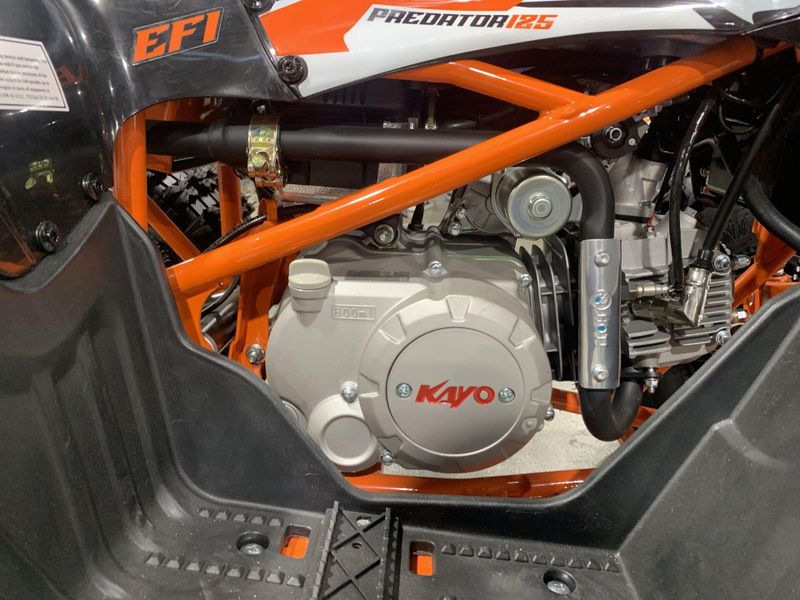 New 2025 Kayo PREDATOR 125 EFI Image 20