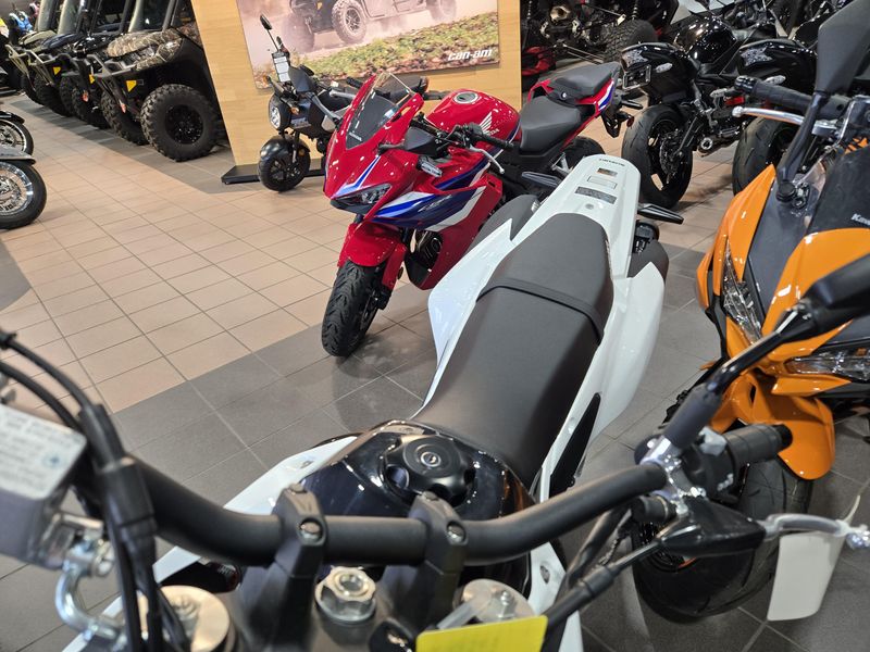 New 2025 Suzuki DRZ4SM SOLID SPECIAL WHITE NO 2 Image 15