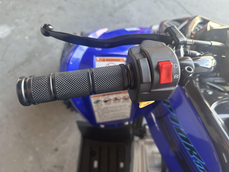 New 2025 Yamaha RAPTOR 110 Image 10