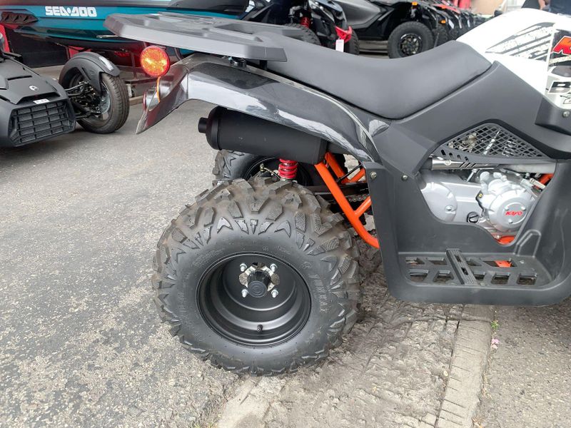 Used 2021 Kayo BULL 200 Image 14