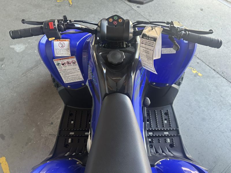 2025 Yamaha RAPTOR 110 Image 9