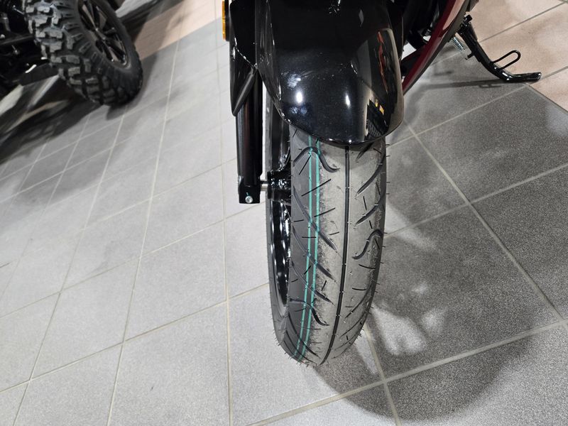 NEW 2025 SUZUKI GSX 250R ABS Image 24