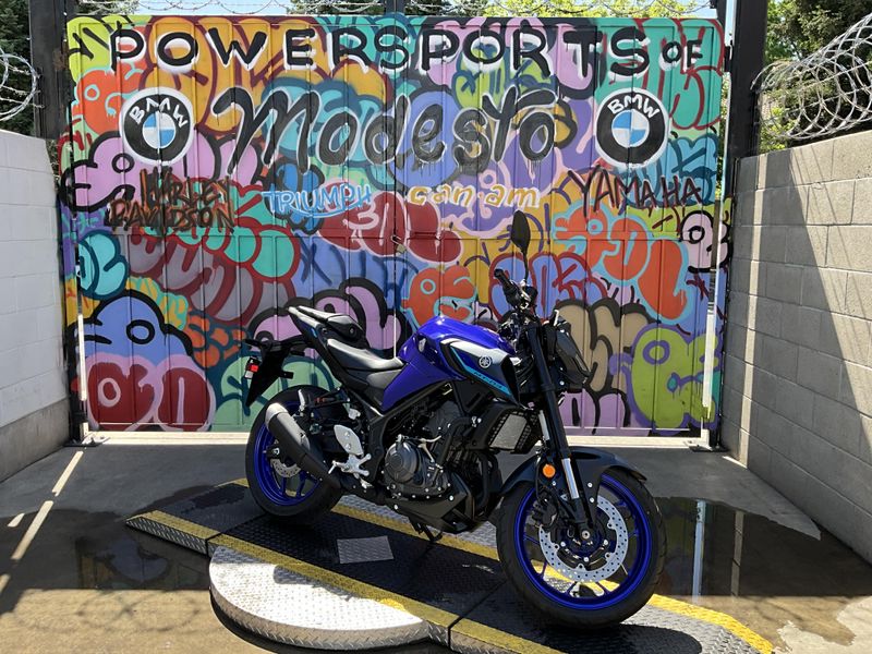 New 2025 Yamaha MT-03 Image 3