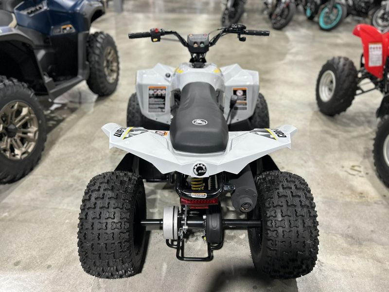 New 2025 Can-Am RENEGADE 110 EFI Image 2