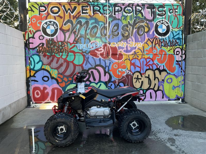 2025 Can-Am RENEGADE 110 Image 4