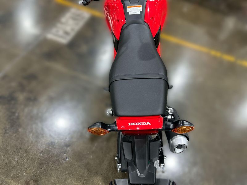New 2025 Honda Grom Image 14