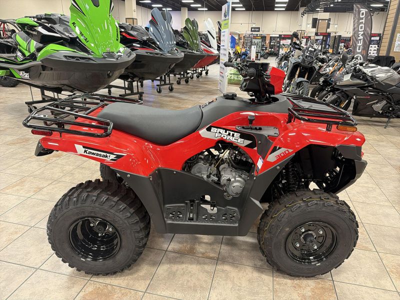 New 2026 Kawasaki BRUTE FORCE 300 Image 10