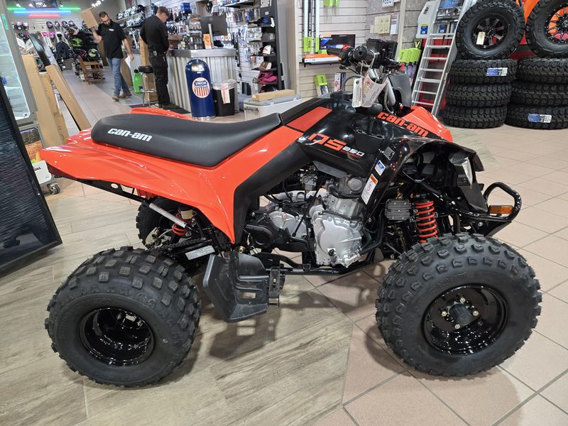 NEW 2026 CAN-AM DS 250 Image 2