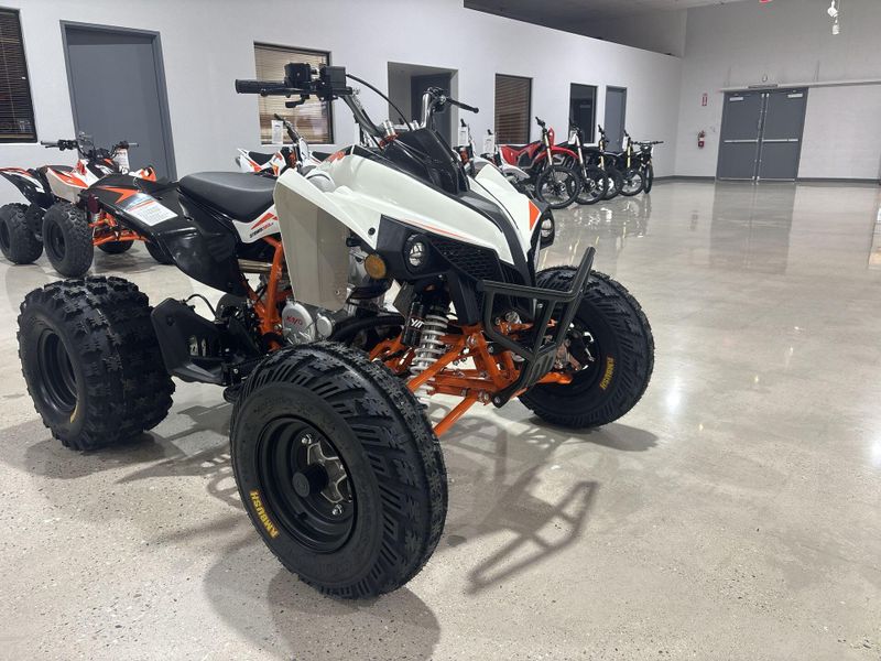 New 2027 Kayo STORM 300 Image 17