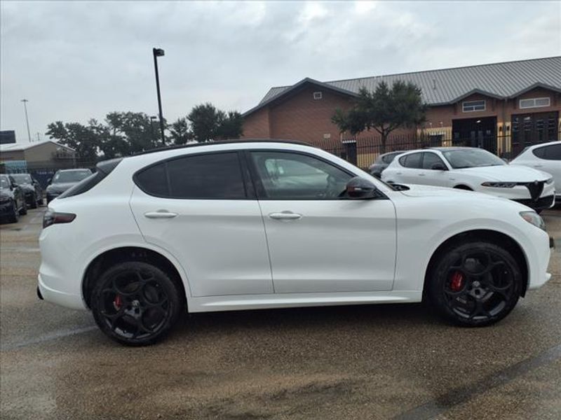 2025 Alfa Romeo Stelvio Tributo Italiano AwdImage 5