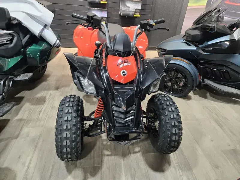 2025 Can-Am DS 250 BLACK AND CANAM RED Image 3