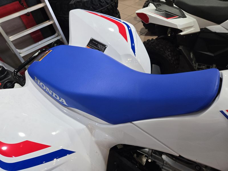 NEW 2026 HONDA TRX 250X Image 12