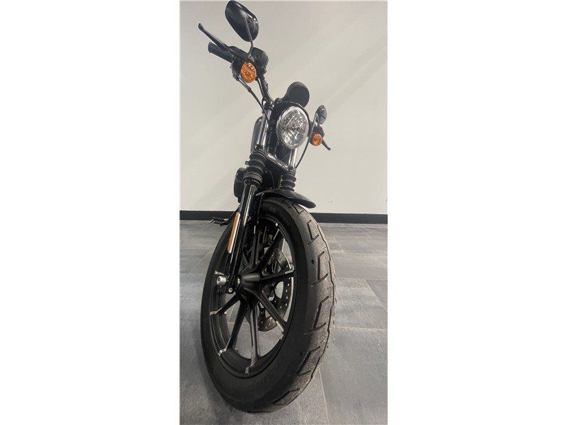 2019 Harley-Davidson SportsterImage 2