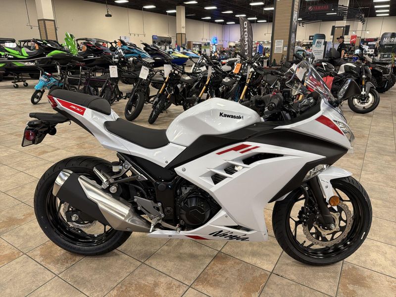 New 2026 Kawasaki NINJA 300 ABS Image 10