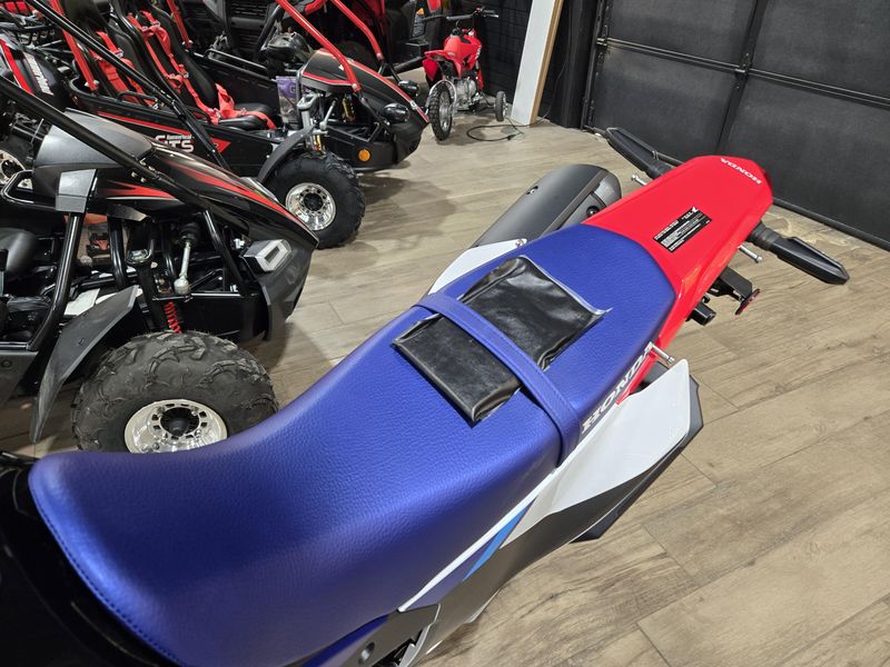 NEW 2025 HONDA CRF300L RALLY ABS Image 14