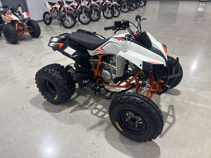 New 2027 Kayo STORM 300 Image 10