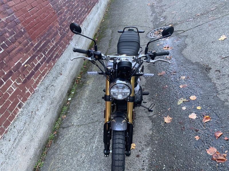 New 2026 Royal Enfield INT BEAR 650 